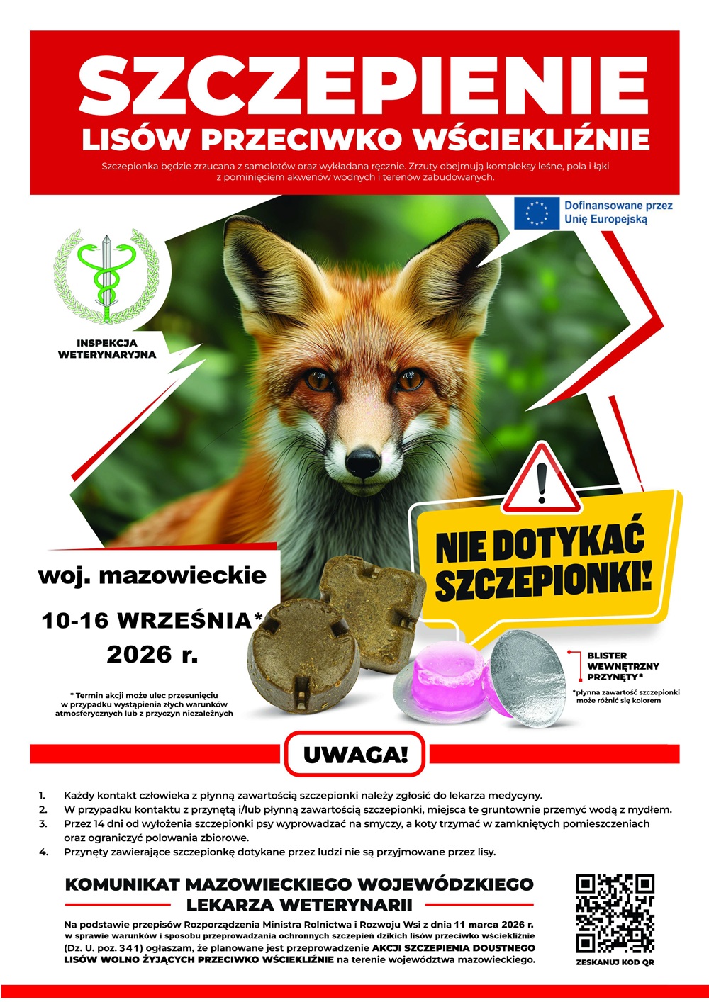 Ikona do artykułu: UWAGA! AKCJA SZCZEPIENIA LISÓW PRZECIWKO WŚCIEKLIŹNIE
